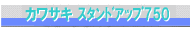 カワサキジェットスキー